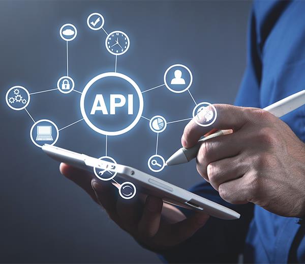 Robust API testing image