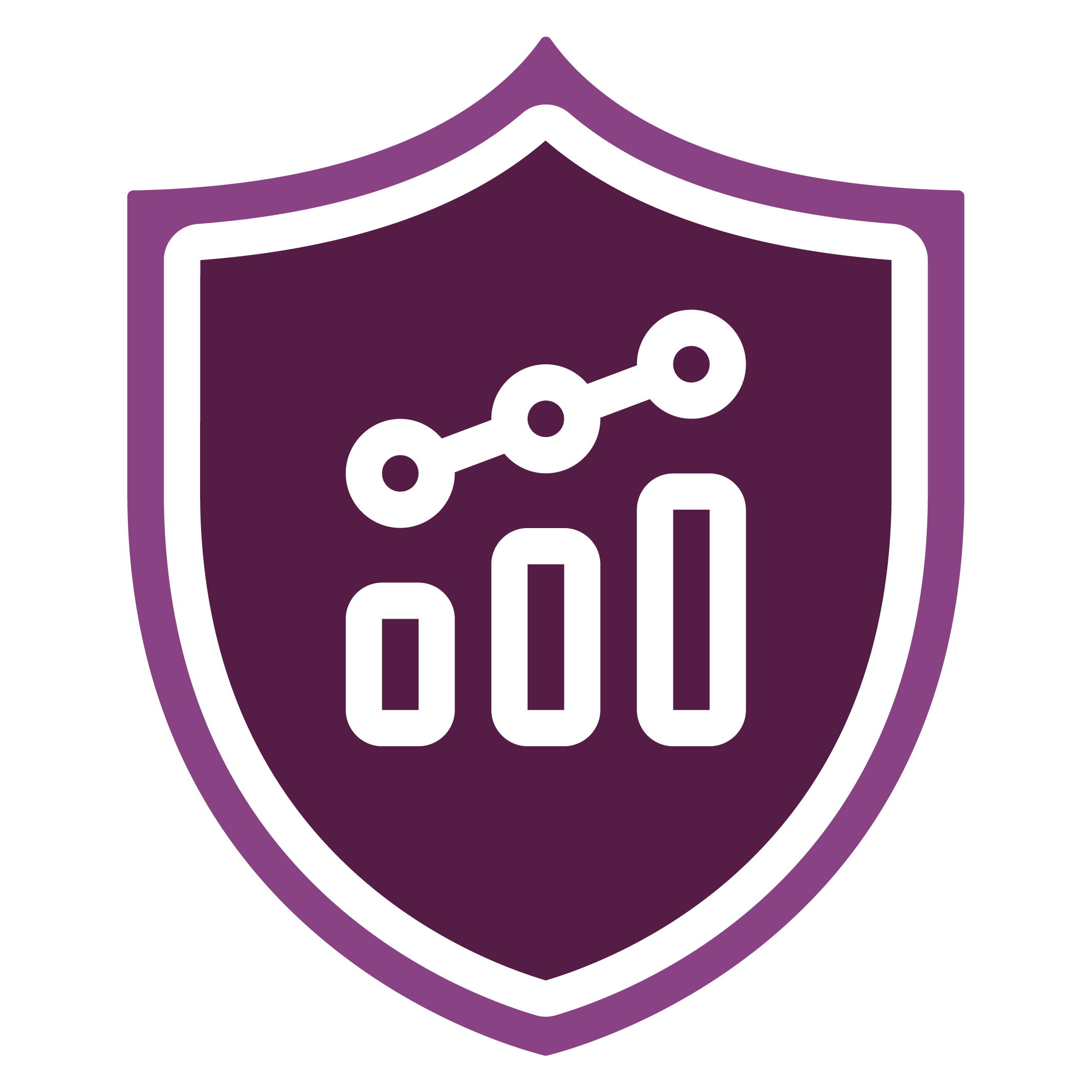 security testing icon
