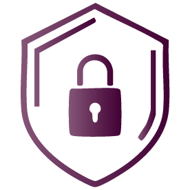 Security Validation Icon