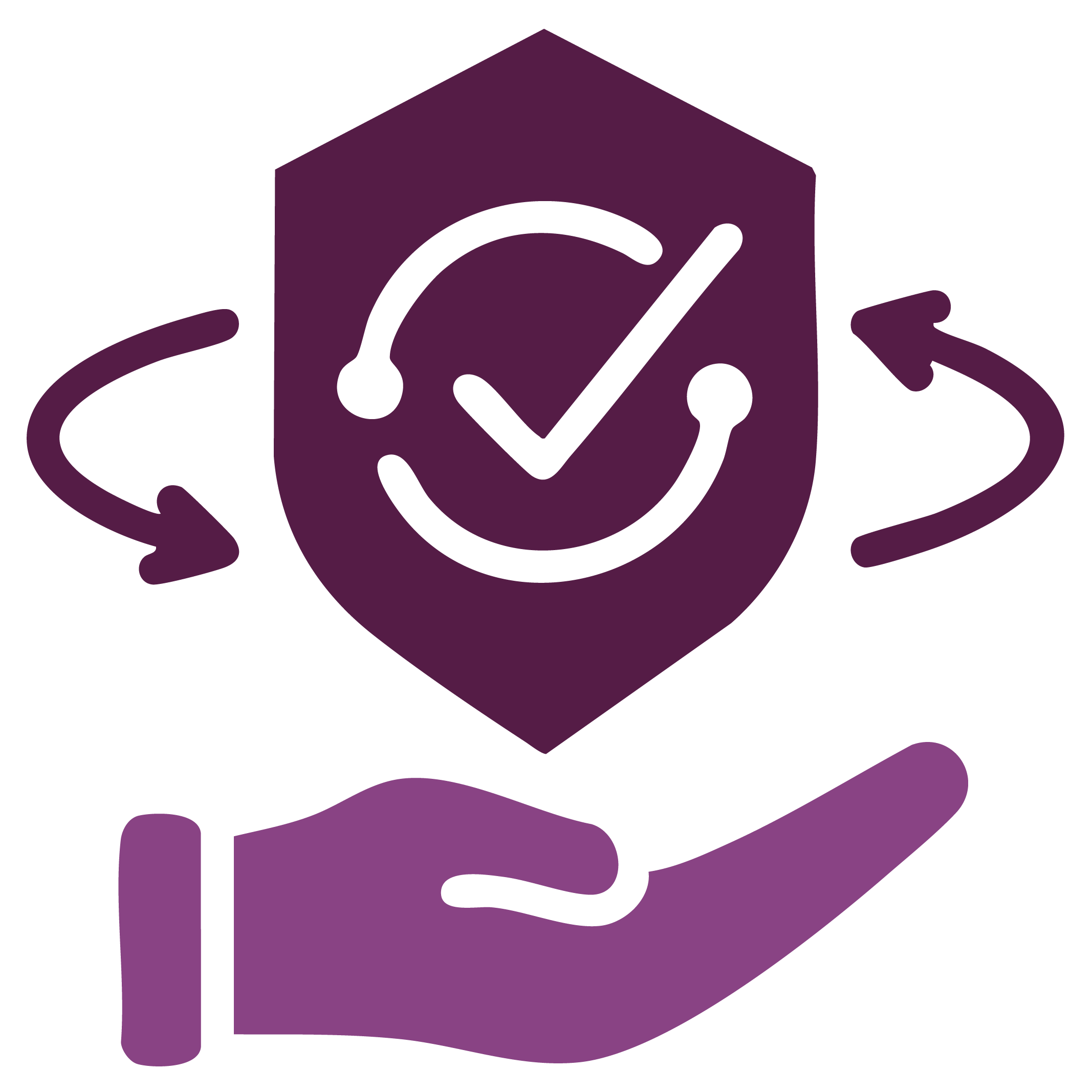 security audits icon