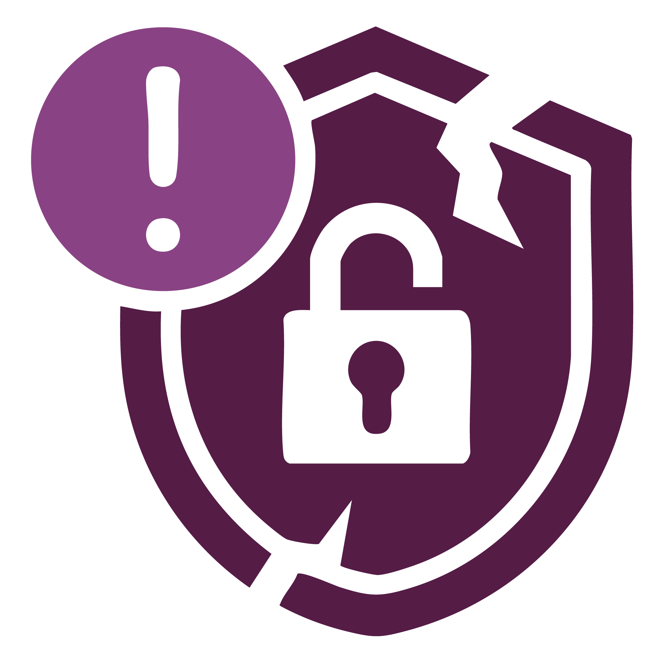 vulnerability coverage icon